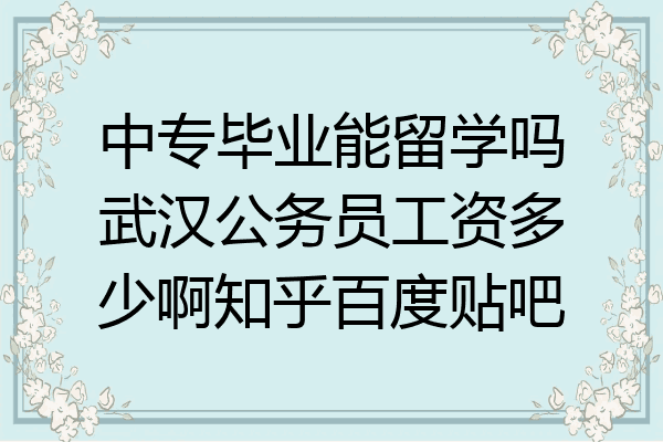 中专毕业能留学吗武汉公务员工资多少啊知乎百度贴吧