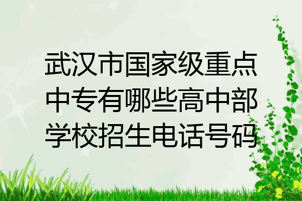 武汉市国家级重点中专有哪些高中部学校招生电话号码