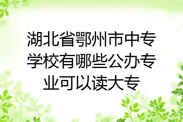 湖北省鄂州市中专学校有哪些公办专业可以读大专