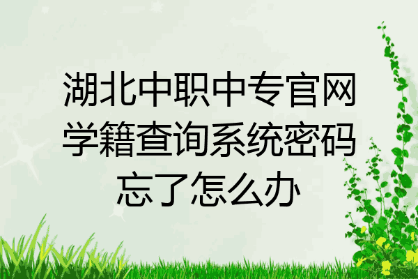 湖北中职中专官网学籍查询系统密码忘了怎么办