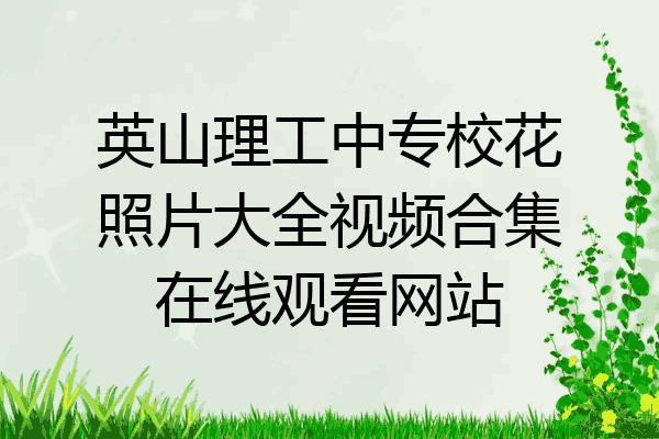 英山理工中专校花照片大全视频合集在线观看网站