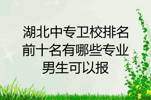 湖北中专卫校排名前十名有哪些专业男生可以报