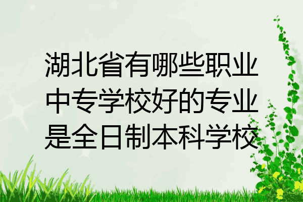 湖北省有哪些职业中专学校好的专业是全日制本科学校