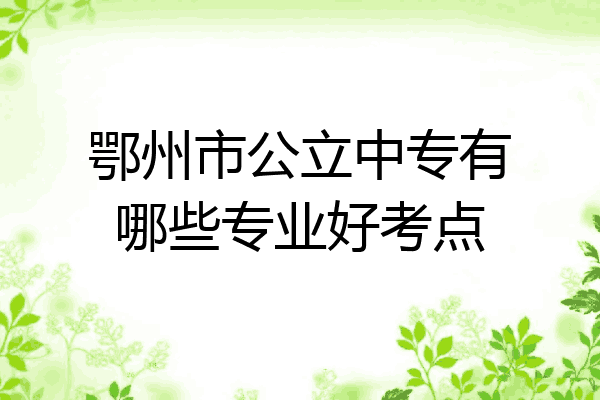 鄂州市公立中专有哪些专业好考点