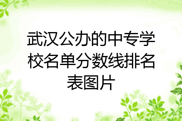 武汉公办的中专学校名单分数线排名表图片