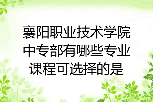 襄阳职业技术学院中专部有哪些专业课程可选择的是
