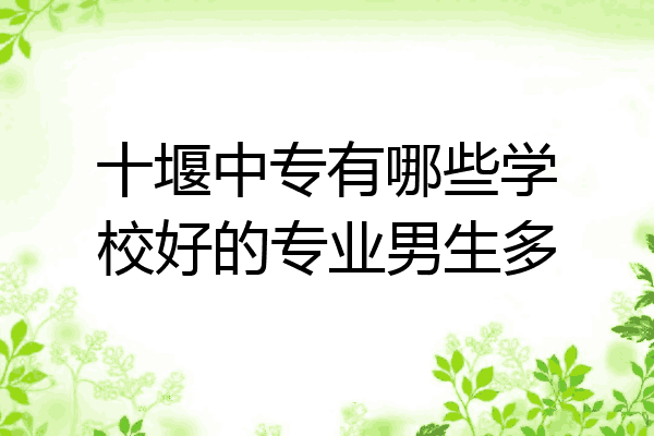 十堰中专有哪些学校好的专业男生多