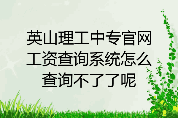 英山理工中专官网工资查询系统怎么查询不了了呢