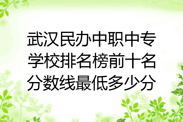 武汉民办中职中专学校排名榜前十名分数线最低多少分