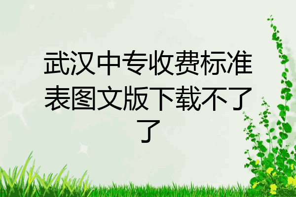 武汉中专收费标准表图文版下载不了了