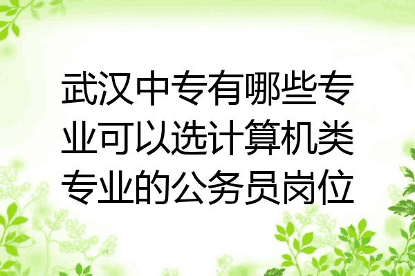武汉中专有哪些专业可以选计算机类专业的公务员岗位