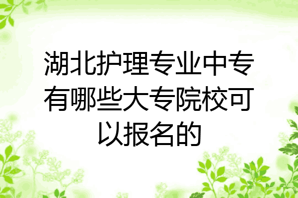 湖北护理专业中专有哪些大专院校可以报名的