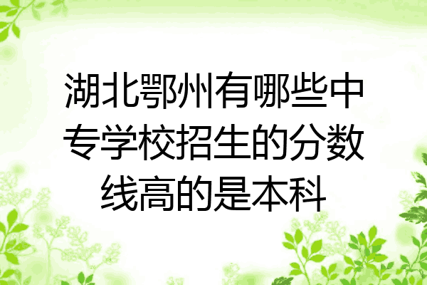 湖北鄂州有哪些中专学校招生的分数线高的是本科