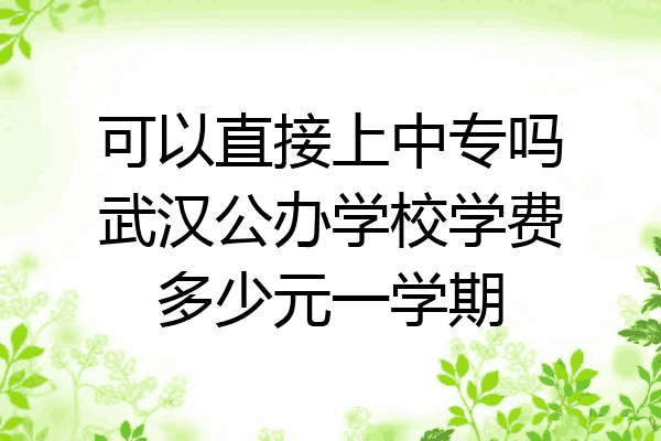 可以直接上中专吗武汉公办学校学费多少元一学期