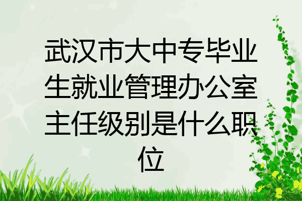 武汉市大中专毕业生就业管理办公室主任级别是什么职位