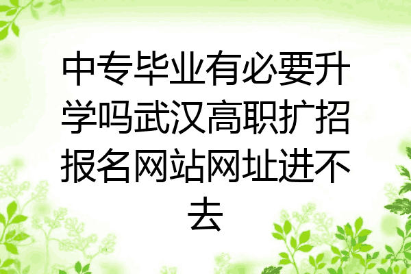 中专毕业有必要升学吗武汉高职扩招报名网站网址进不去