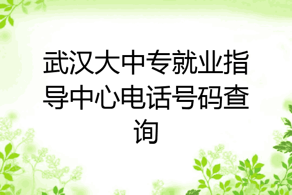 武汉大中专就业指导中心电话号码查询