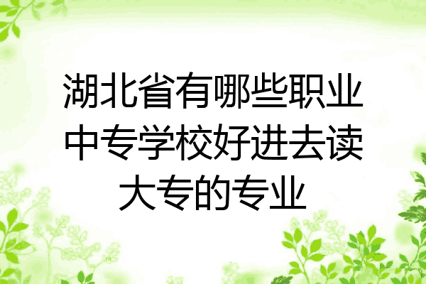 湖北省有哪些职业中专学校好进去读大专的专业