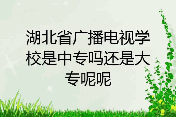 湖北省广播电视学校是中专吗还是大专呢呢