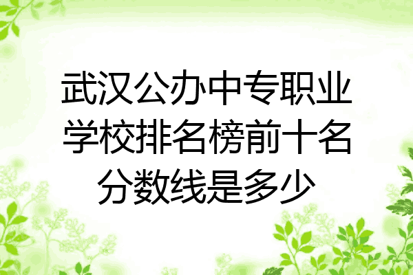 武汉公办中专职业学校排名榜前十名分数线是多少