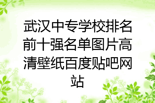 武汉中专学校排名前十强名单图片高清壁纸百度贴吧网站
