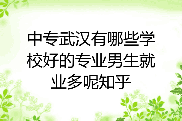 中专武汉有哪些学校好的专业男生就业多呢知乎