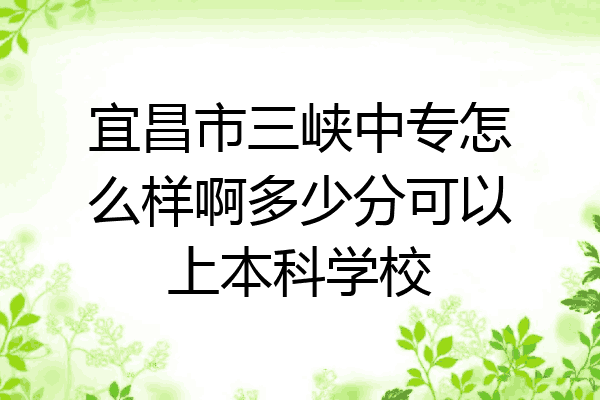 宜昌市三峡中专怎么样啊多少分可以上本科学校