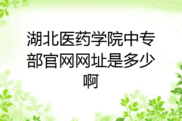 湖北医药学院中专部官网网址是多少啊