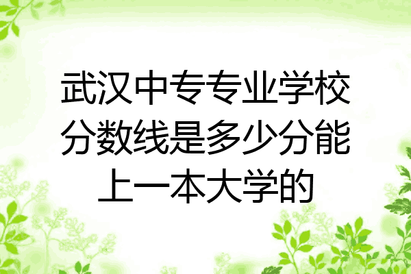 武汉中专专业学校分数线是多少分能上一本大学的