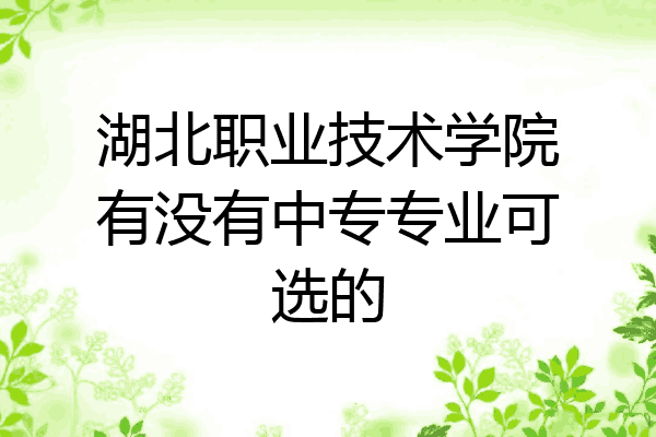 湖北职业技术学院有没有中专专业可选的