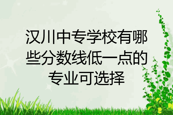 汉川中专学校有哪些分数线低一点的专业可选择