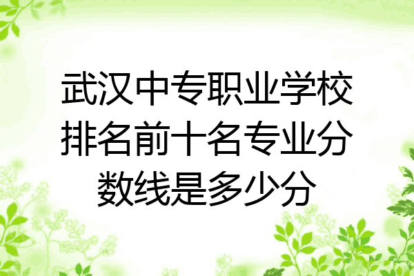 武汉中专职业学校排名前十名专业分数线是多少分