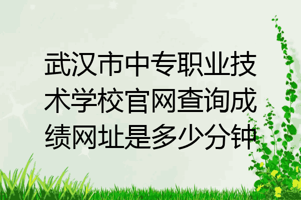武汉市中专职业技术学校官网查询成绩网址是多少分钟