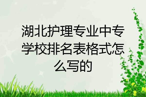 湖北护理专业中专学校排名表格式怎么写的