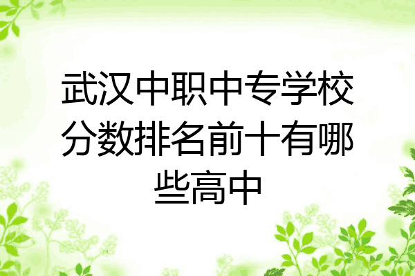 武汉中职中专学校分数排名前十有哪些高中