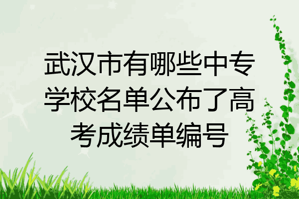 武汉市有哪些中专学校名单公布了高考成绩单编号
