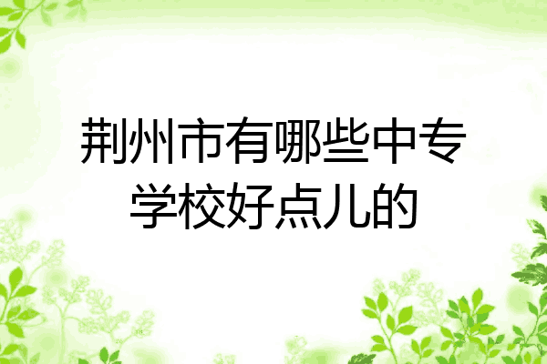 荆州市有哪些中专学校好点儿的