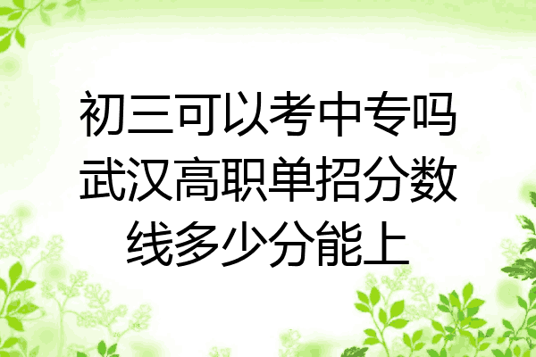 初三可以考中专吗武汉高职单招分数线多少分能上