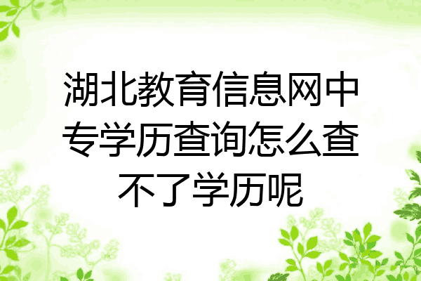 湖北教育信息网中专学历查询怎么查不了学历呢