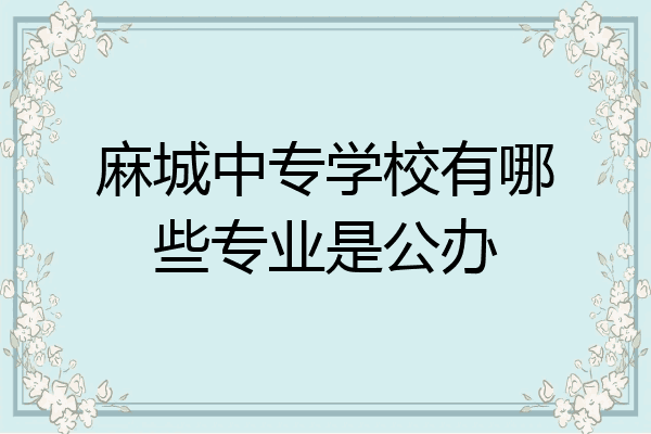 麻城中专学校有哪些专业是公办