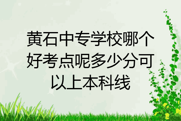 黄石中专学校哪个好考点呢多少分可以上本科线