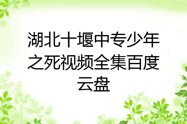 湖北十堰中专少年之死视频全集百度云盘