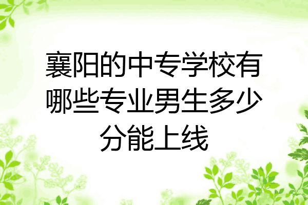 襄阳的中专学校有哪些专业男生多少分能上线