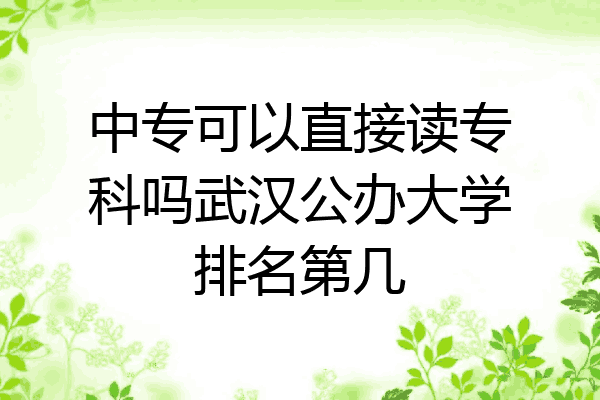 中专可以直接读专科吗武汉公办大学排名第几