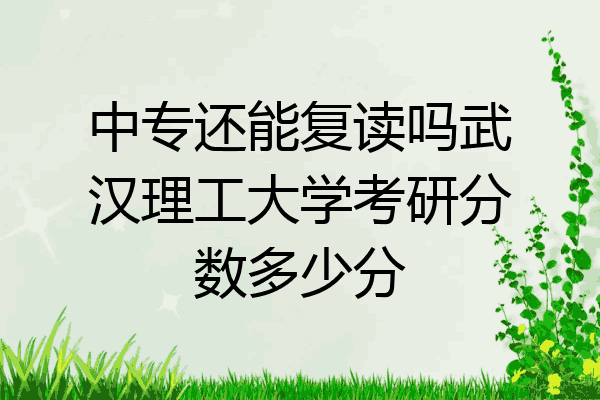 中专还能复读吗武汉理工大学考研分数多少分