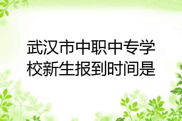 武汉市中职中专学校新生报到时间是
