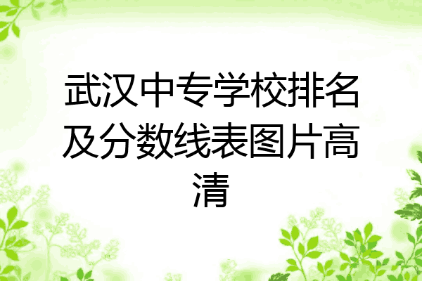 武汉中专学校排名及分数线表图片高清