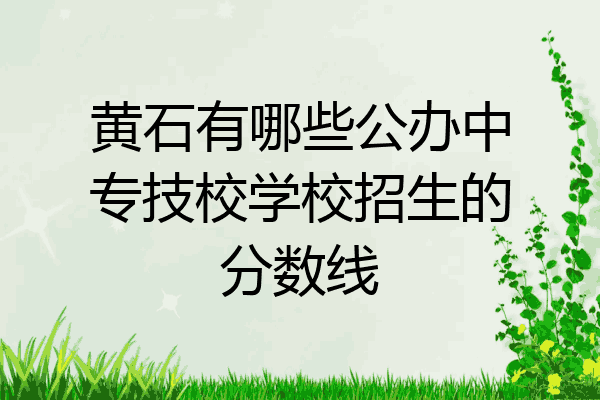 黄石有哪些公办中专技校学校招生的分数线
