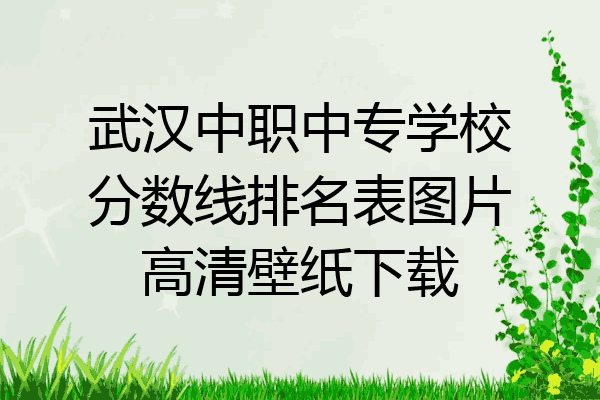 武汉中职中专学校分数线排名表图片高清壁纸下载