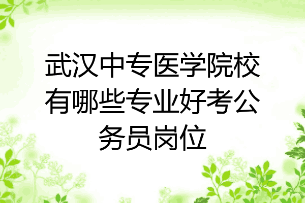 武汉中专医学院校有哪些专业好考公务员岗位